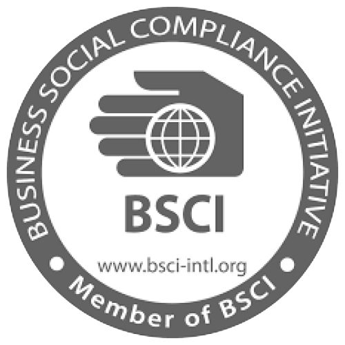 BSCI Logo